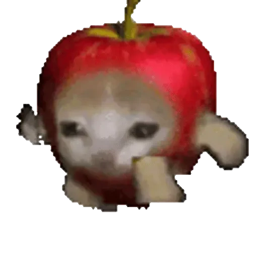 Figurinha de Cats Funny Food 🐱🍉🍎🍟🍕 (4 de 25)