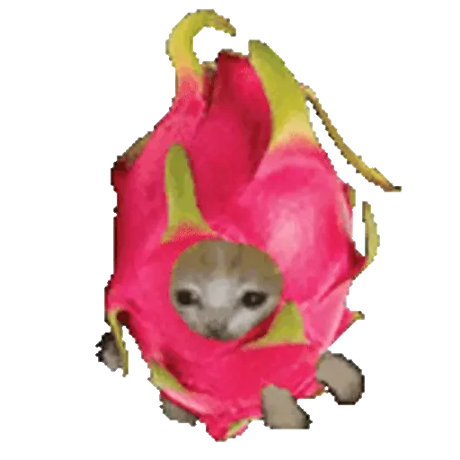 Figurinha de Cats Funny Food 🐱🍉🍎🍟🍕 (7 de 25)