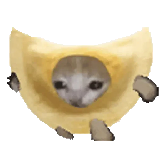 Figurinha de Cats Funny Food 🐱🍉🍎🍟🍕 (10 de 25)