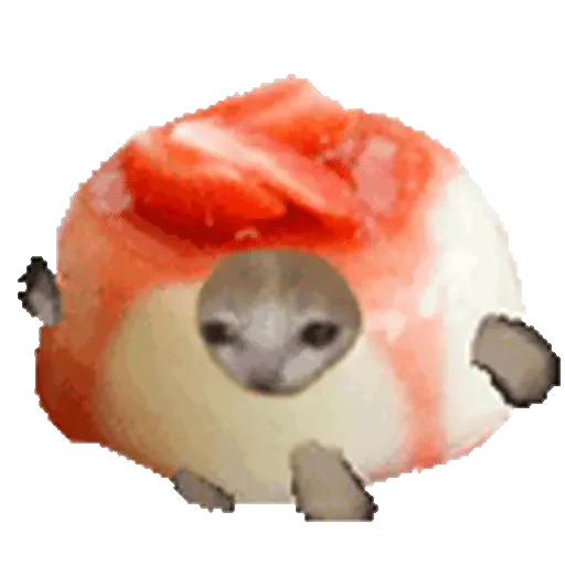 Figurinha de Cats Funny Food 🐱🍉🍎🍟🍕 (21 de 25)