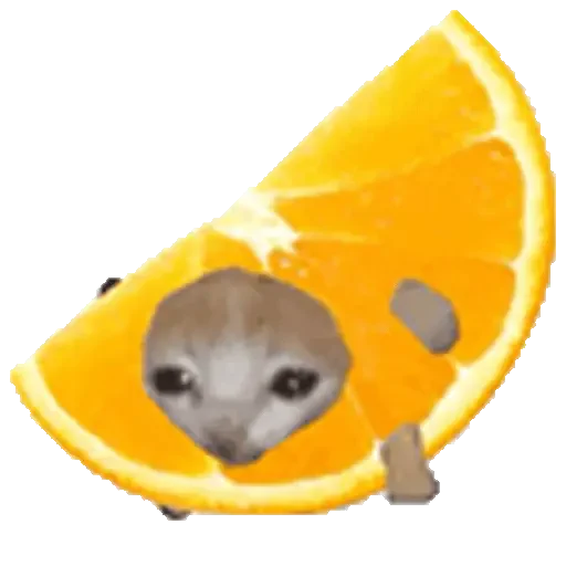 Figurinha de Cats Funny Food 🐱🍉🍎🍟🍕 (24 de 25)