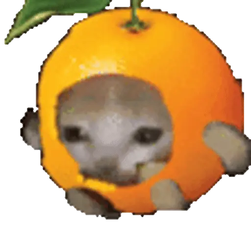 Figurinhas de Cats Funny Food 🐱🍉🍎🍟🍕 para WhatsApp