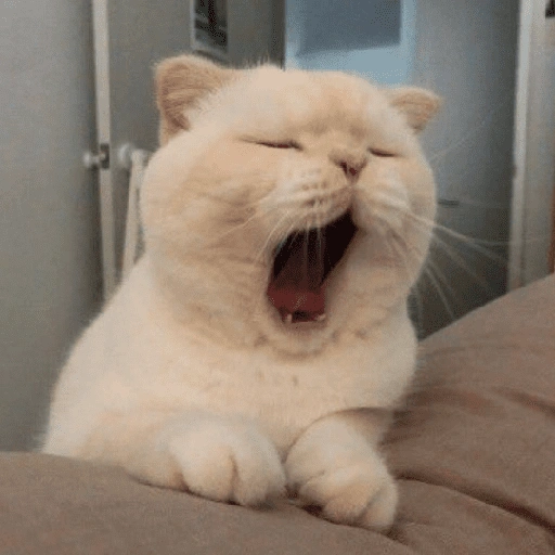 Figurinha de CATS 🐈😺 (6 de 15)