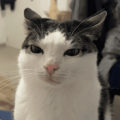 Figurinha de CATS 🐈😺 (12 de 15)