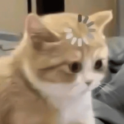 Figurinha de CATS 🐈😺 (15 de 15)