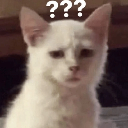 Figurinha de Comentários do Tiktok 1.0 (7 de 16)