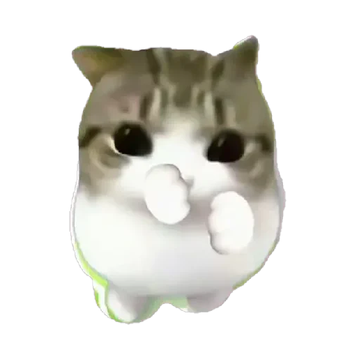 Figurinha de Dam dam dididi Cat Kitten (2 de 21)