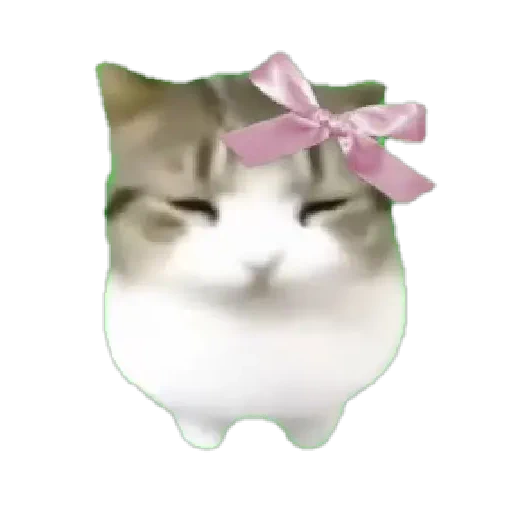 Figurinha de Dam dam dididi Cat Kitten (6 de 21)