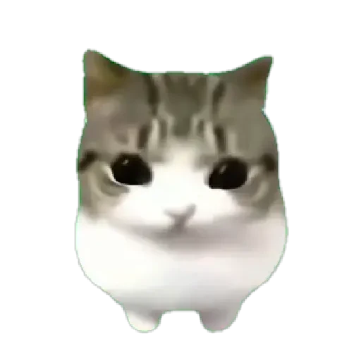 Figurinha de Dam dam dididi Cat Kitten (8 de 21)