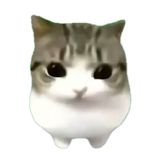 Figurinha de Dam dam dididi Cat Kitten (9 de 21)