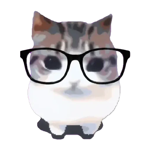 Figurinha de Dam dam dididi Cat Kitten (11 de 21)