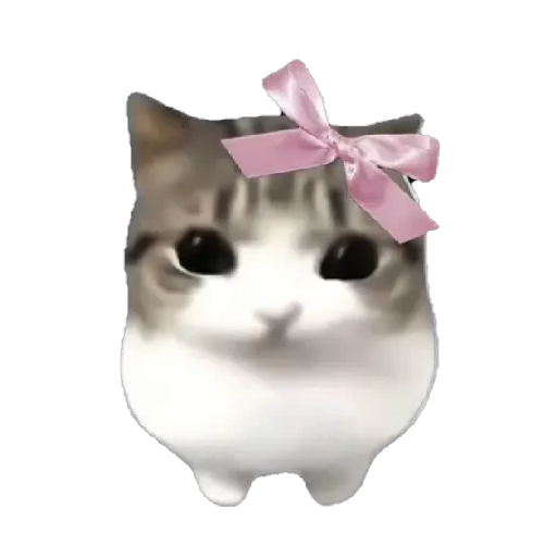 Figurinha de Dam dam dididi Cat Kitten (12 de 21)