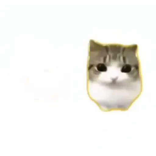 Figurinha de Dam dam dididi Cat Kitten (13 de 21)