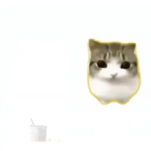 Figurinha de Dam dam dididi Cat Kitten (14 de 21)