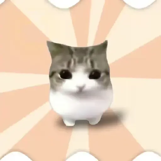 Figurinha de Dam dam dididi Cat Kitten (16 de 21)