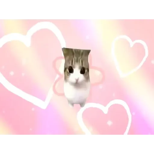 Figurinha de Dam dam dididi Cat Kitten (19 de 21)