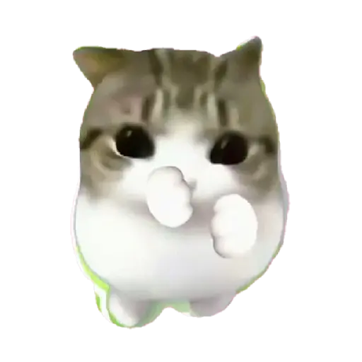 Figurinhas de Dam dam dididi Cat Kitten para WhatsApp