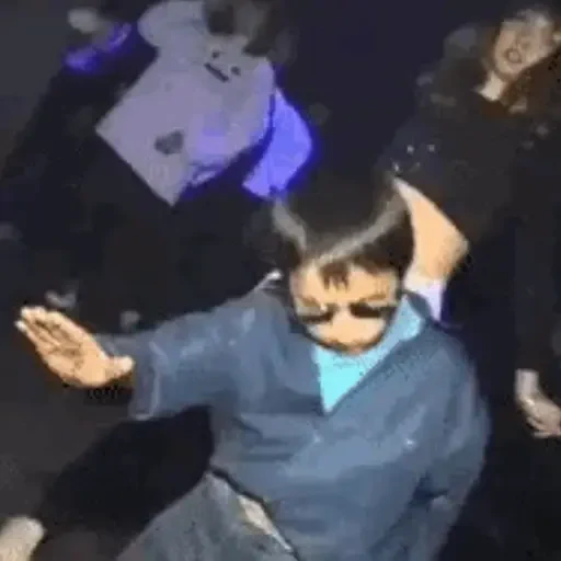Figurinha de DANÇA GATINHO (3 de 15)