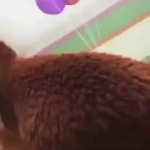 Figurinha de dançando para WhatsApp (8 de 30)