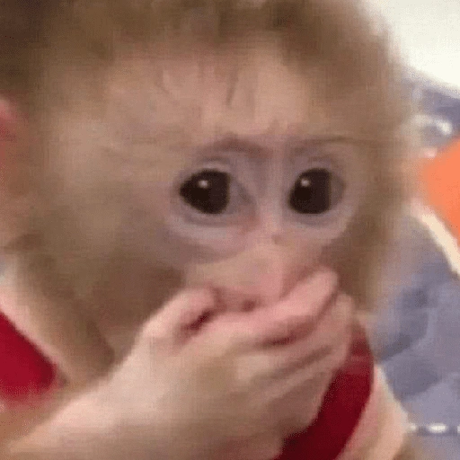 Figurinha de Dedo no queixo/macaco caco para WhatsApp (2 de 13)