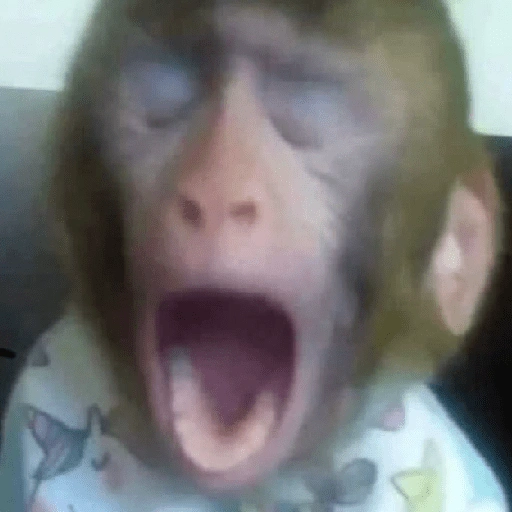 Figurinha de Dedo no queixo/macaco caco para WhatsApp (3 de 13)