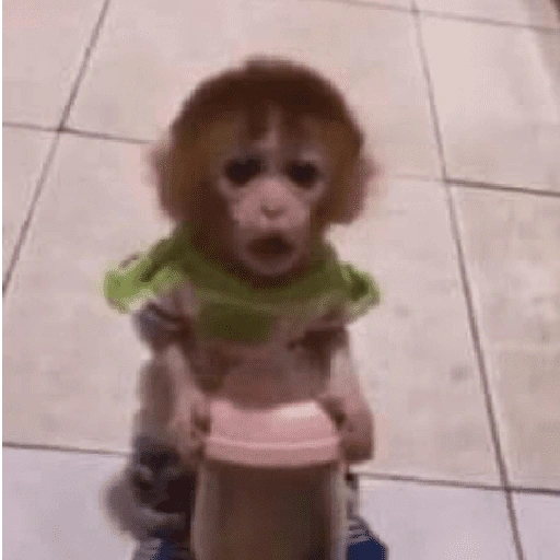 Figurinha de Dedo no queixo/macaco caco para WhatsApp (7 de 13)