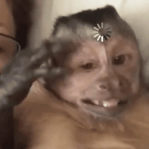 Figurinha de Dedo no queixo/macaco caco para WhatsApp (8 de 13)