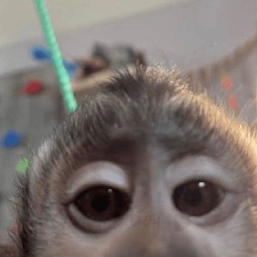 Figurinha de Dedo no queixo/macaco caco para WhatsApp (11 de 13)
