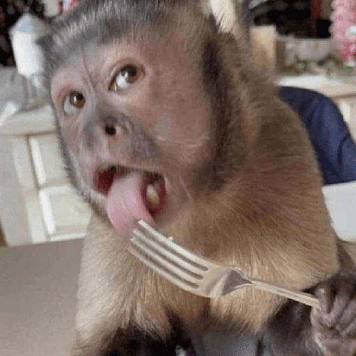 Figurinha de Dedo no queixo/macaco caco para WhatsApp (13 de 13)