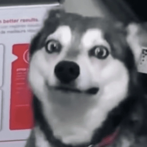 Figurinha de dogs engraçados para WhatsApp (10 de 15)