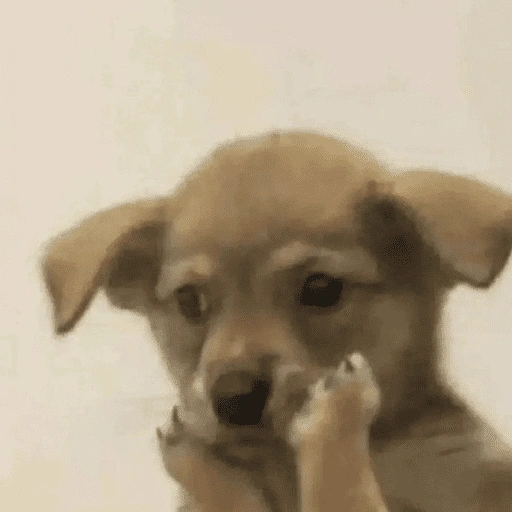 Figurinha de Doguinhos desconfiados (3 de 15)