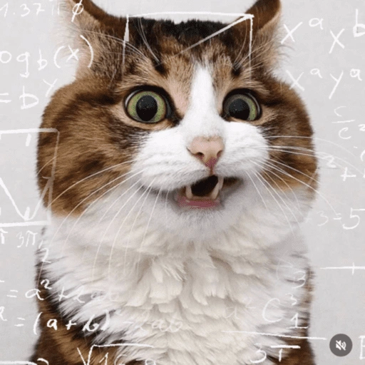 Figurinha de Emoções(ou nao) de um gato para WhatsApp (2 de 17)