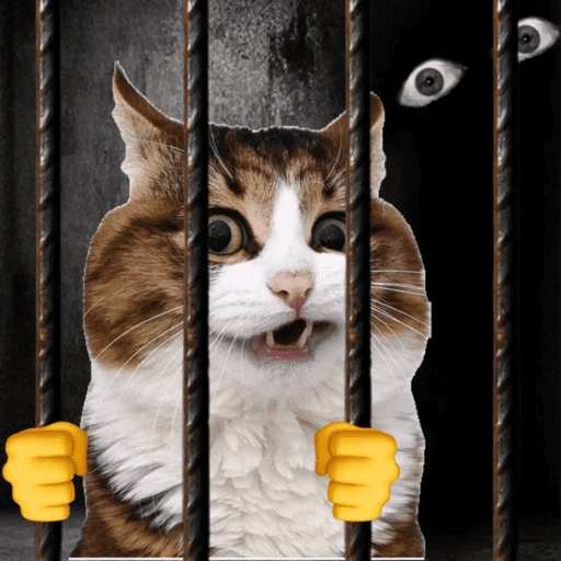 Figurinha de Emoções(ou nao) de um gato para WhatsApp (3 de 17)