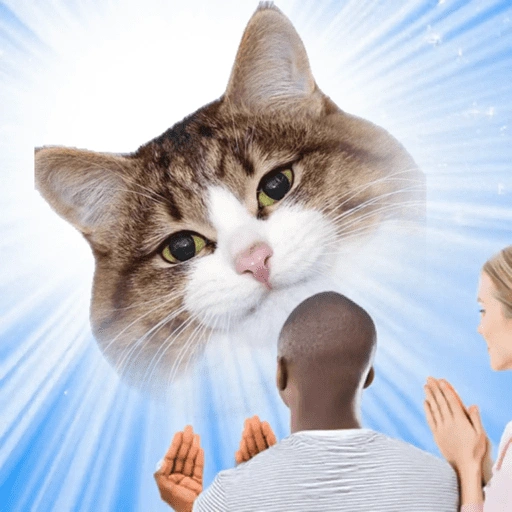 Figurinha de Emoções(ou nao) de um gato para WhatsApp (5 de 17)