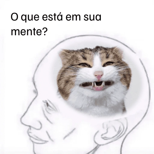 Figurinha de Emoções(ou nao) de um gato para WhatsApp (13 de 17)