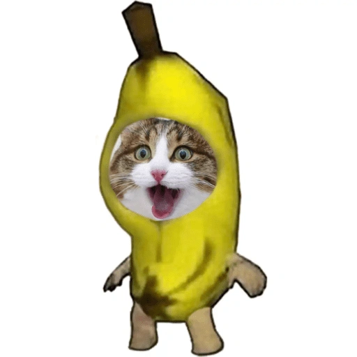 Figurinha de Emoções(ou nao) de um gato para WhatsApp (14 de 17)