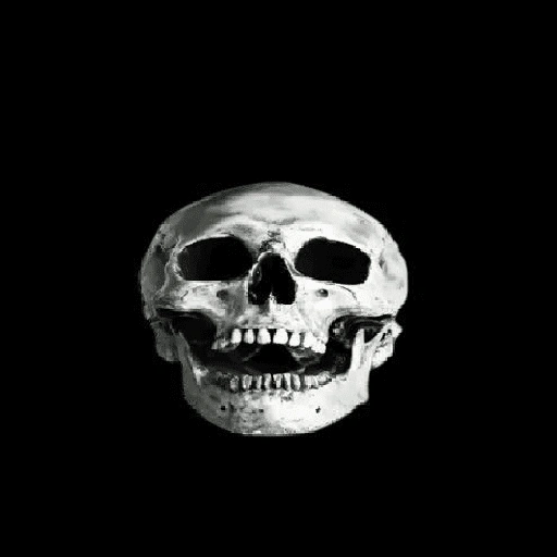 Figurinha de Esqueleto 💀 para WhatsApp (14 de 19)