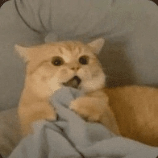 Figurinha de eu sou eles para WhatsApp (13 de 15)
