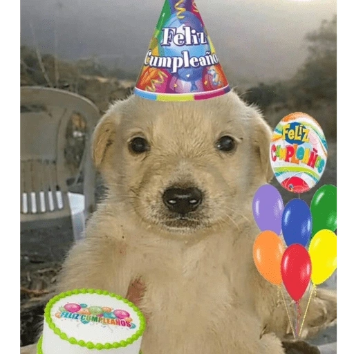 Figurinha de Feliz Aniversário dos Pets 🎂 para WhatsApp (4 de 26)