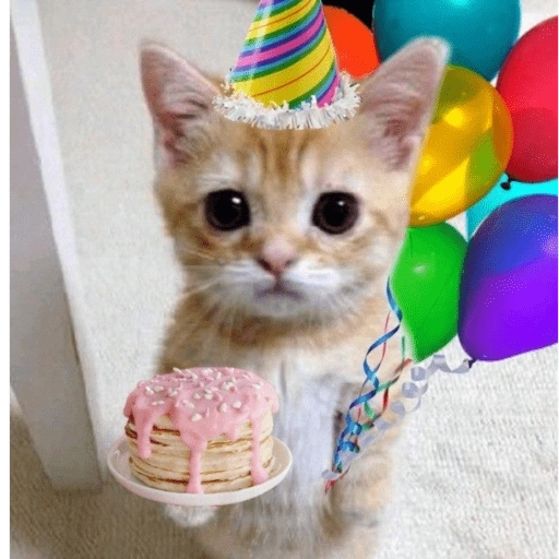 Figurinha de Feliz Aniversário dos Pets 🎂 para WhatsApp (5 de 26)