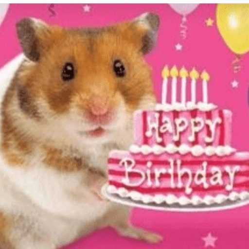 Figurinha de Feliz Aniversário dos Pets 🎂 para WhatsApp (19 de 26)