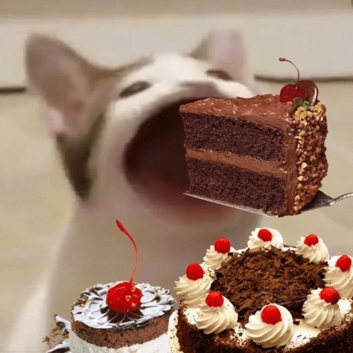 Figurinha de Feliz Aniversário dos Pets 🎂 para WhatsApp (26 de 26)