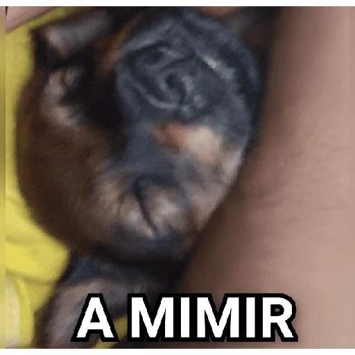 Figurinha de figurinhas de cachorro🐶 (6 de 15)