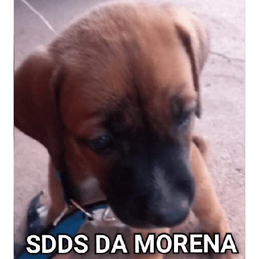 Figurinha de figurinhas de cachorro🐶 (7 de 15)