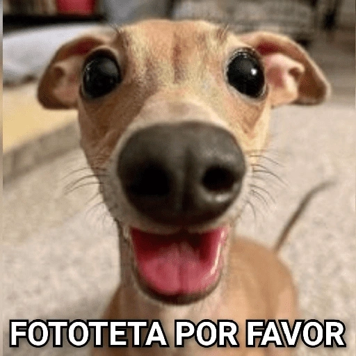 Figurinha de figurinhas de cachorro🐶 (8 de 15)