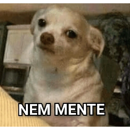 Figurinha de figurinhas de cachorro🐶 (10 de 15)