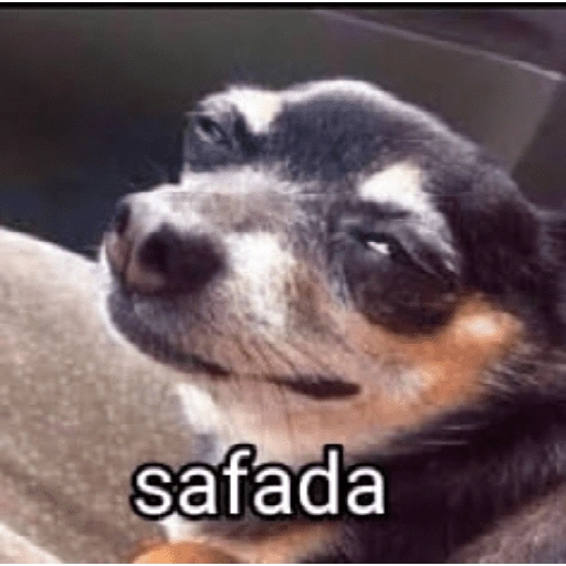 Figurinha de figurinhas de cachorro🐶 (15 de 15)