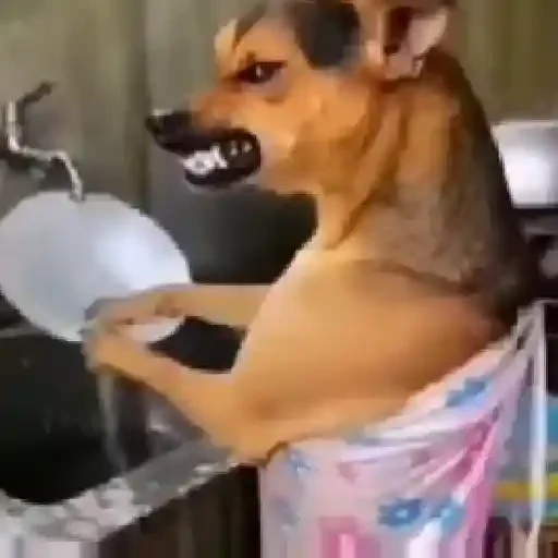 Figurinha de figurinhas famosas tiktok (16 de 30)