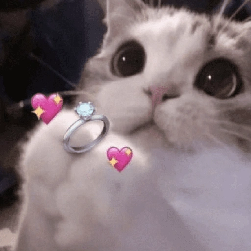 Figurinha de Figurinhas fofas ❤️😻 para WhatsApp (1 de 15)