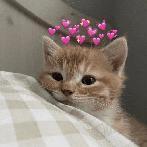 Figurinha de Figurinhas fofas ❤️😻 para WhatsApp (2 de 15)
